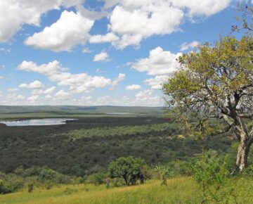 3 Days Lake Mburo Wildlife Safari