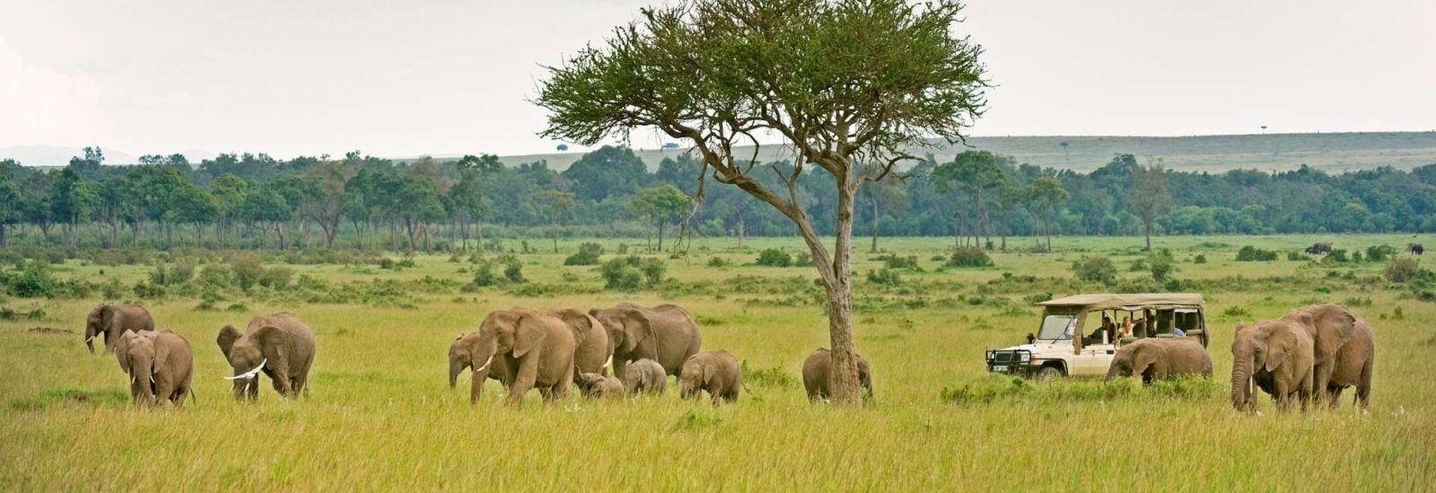 5 Days Kenya Wildlife Escape